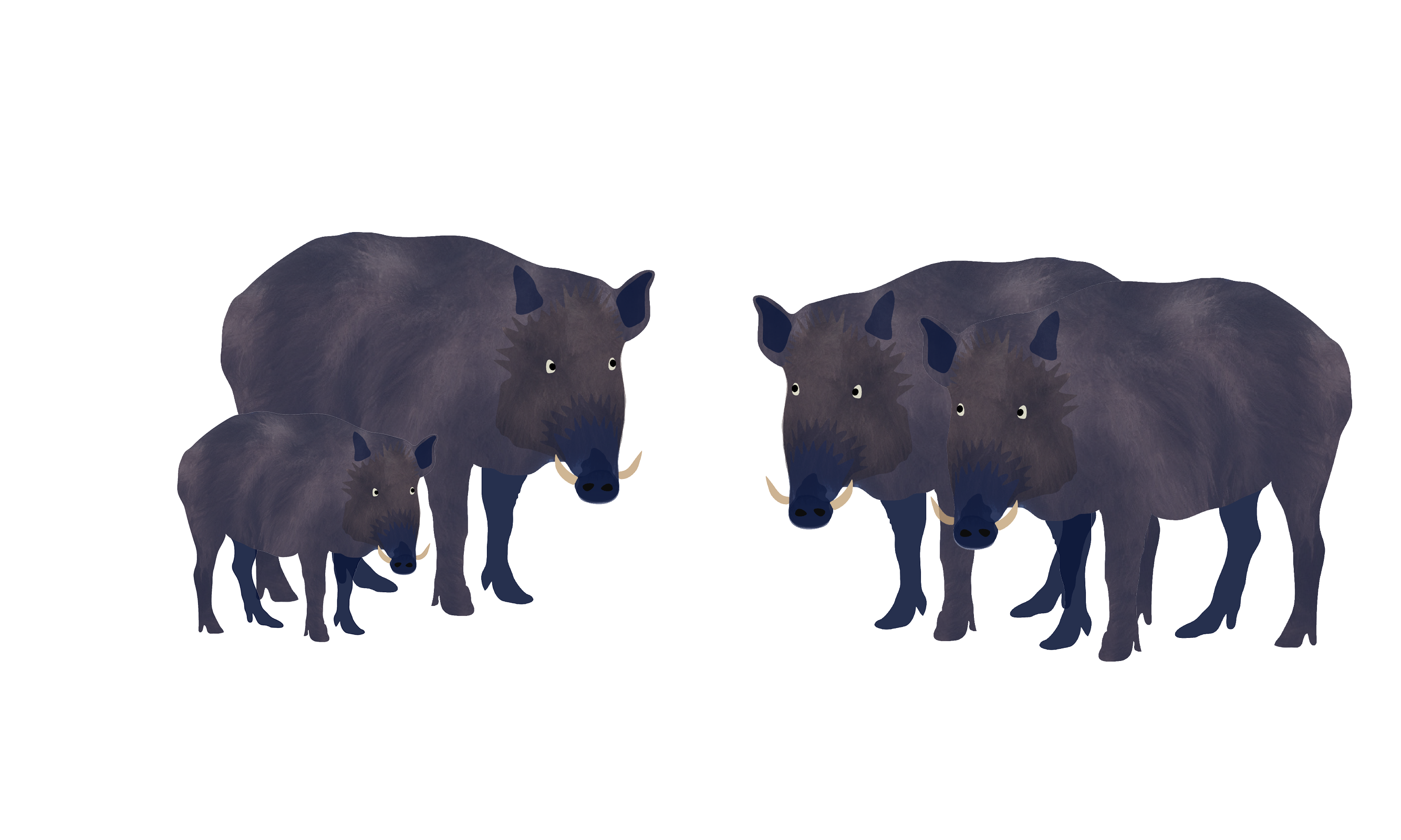 Illustration of a group of boars