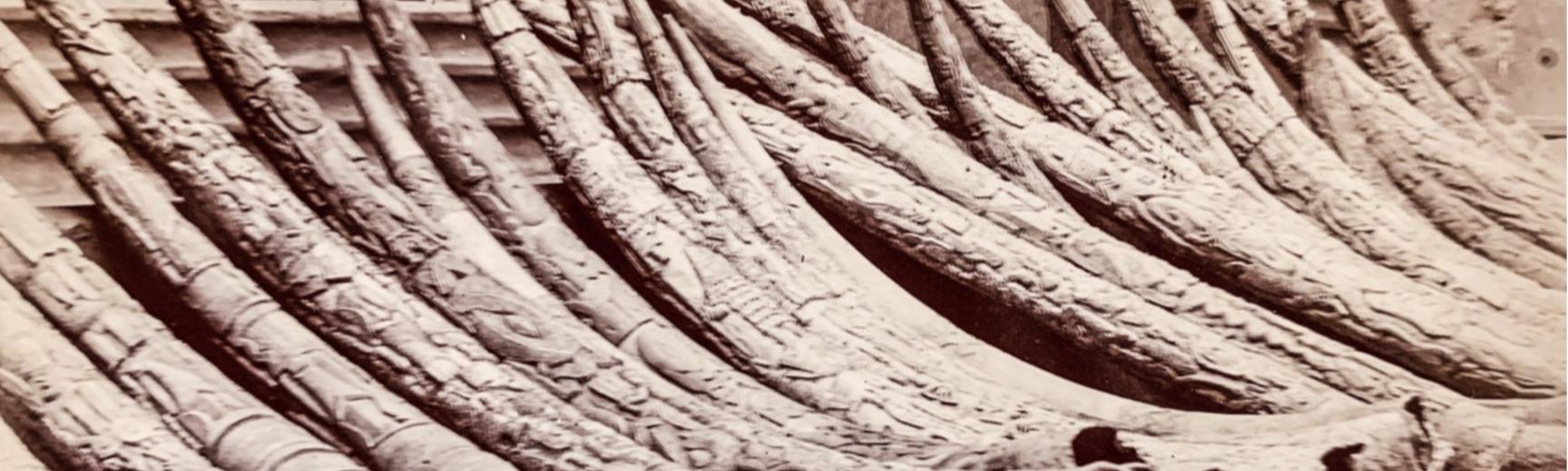 benin ivory