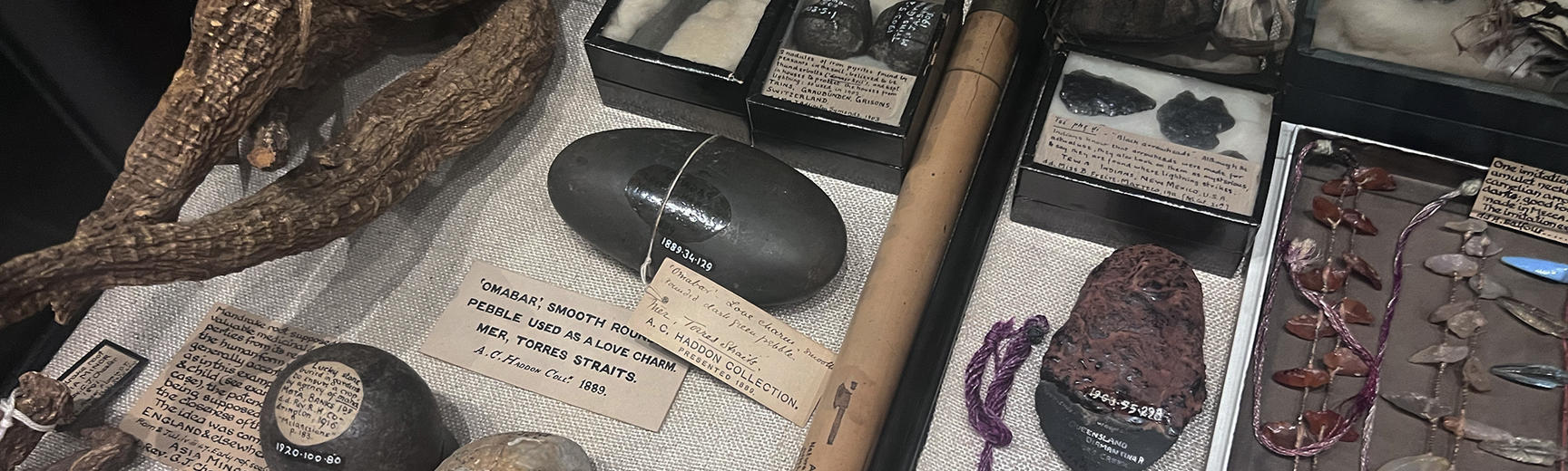View of a display case containing stones and sticks