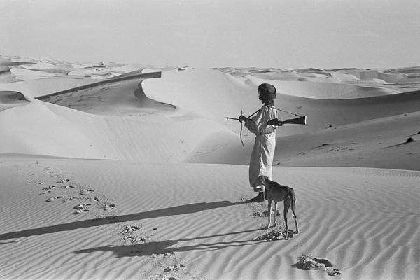 Salim bin Ghabaisha with Warad, a saluki. Abu Dhabi Emirate; Al Gharbia Region; Liwa, 1948.