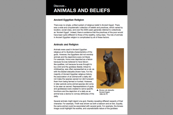 animals and beliefs