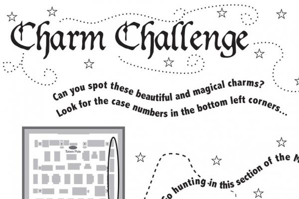 Charm challenge instructions