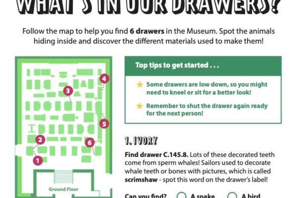 What's in our Drawers