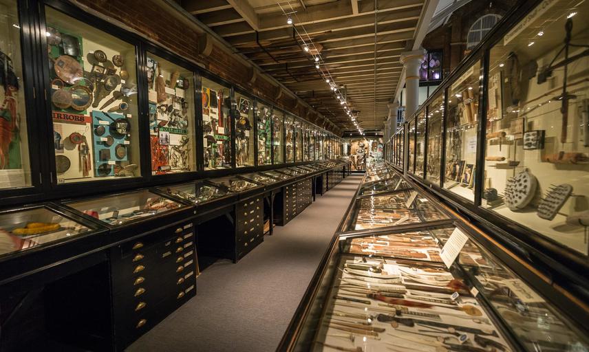 View along Lower Gallery displays