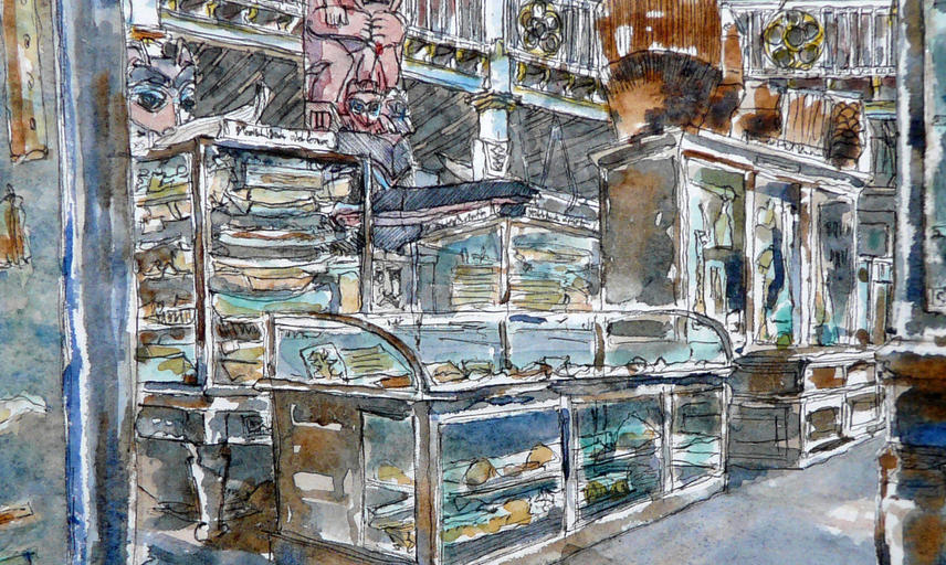 Watercolour showing desktop display cases with taller cases behind and some drums and the Haida Star Hole Pole on open display.