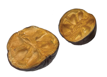 A film prop of two halves of a spherical seed pod with a hard dark brown shell and yellow flesh inside made of a foam material.