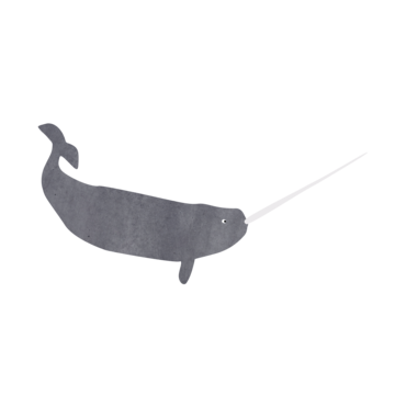 Illustration of a narwhal